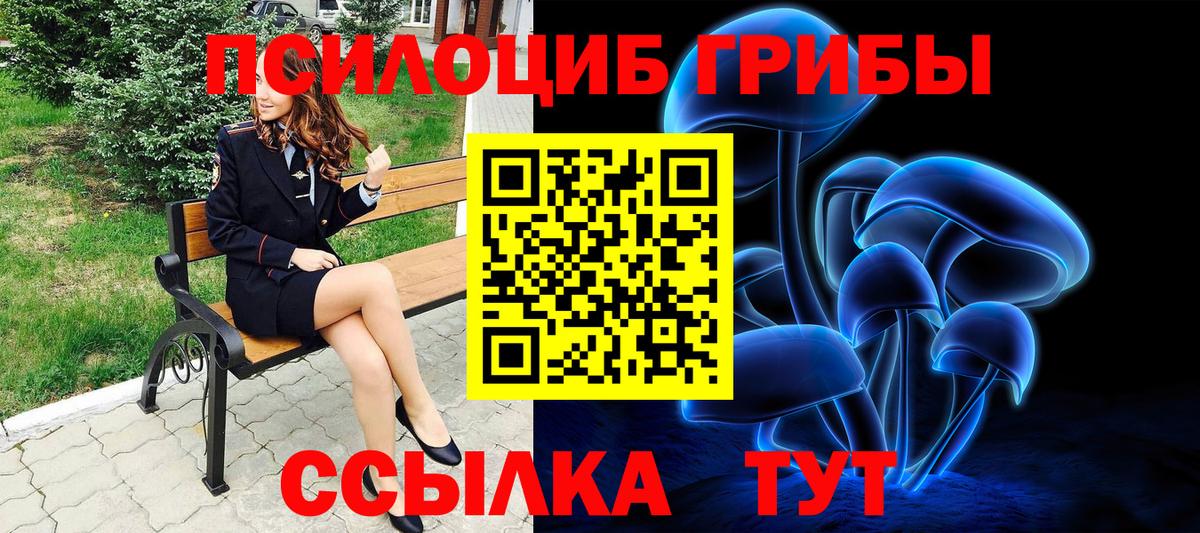 Псилоцибиновые грибы Cubensis Крымск